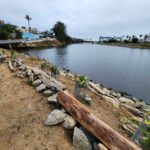 City Reports Vandalism To San Lorenzo River Levee 
